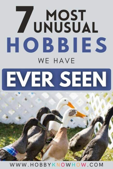 unusual hobbies