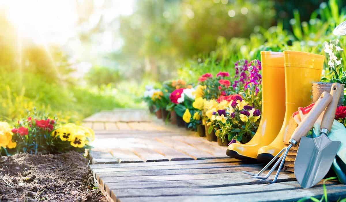 A Guide to Gardening for the Beginner