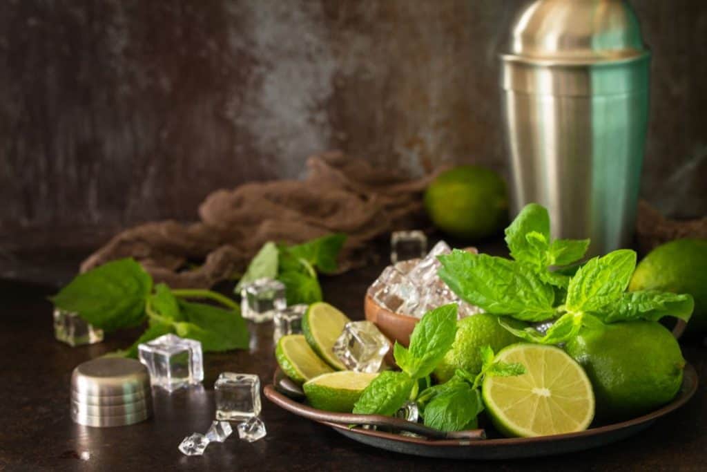 Ingredients to make Mojito cocktail on top of the table