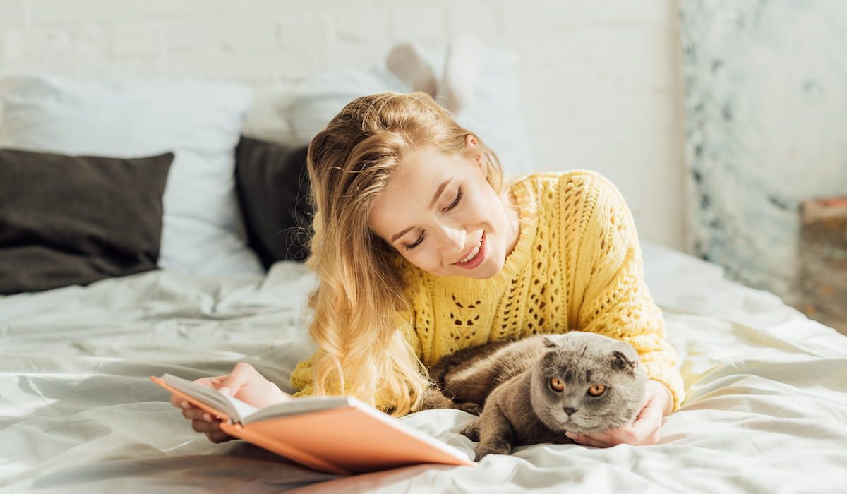 woman reading book while lying in bed with scottish fold cat