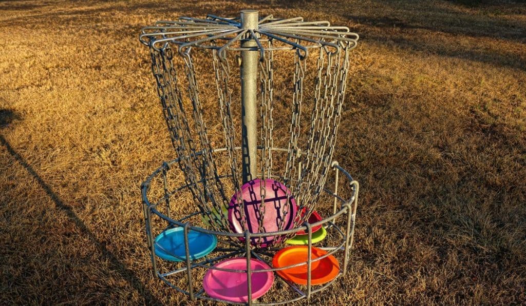 Best Disc Golf Discs For Intermediate Players Hobby Knowhow