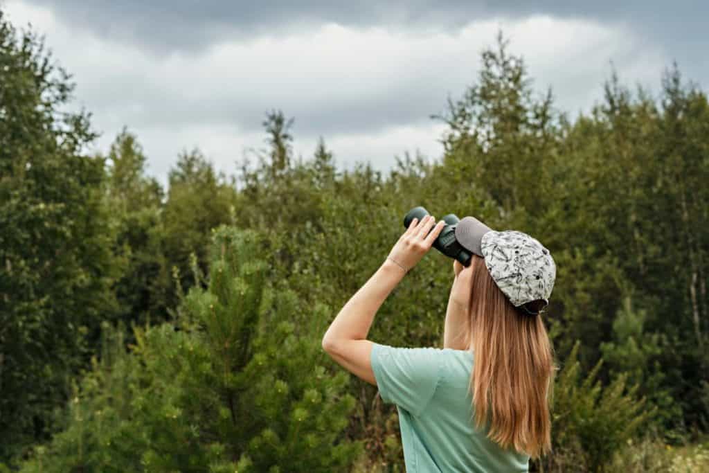 a young woman enjoys bird watching the woods using binoculars