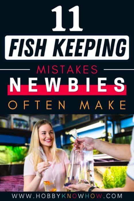 fish keeping mistakes