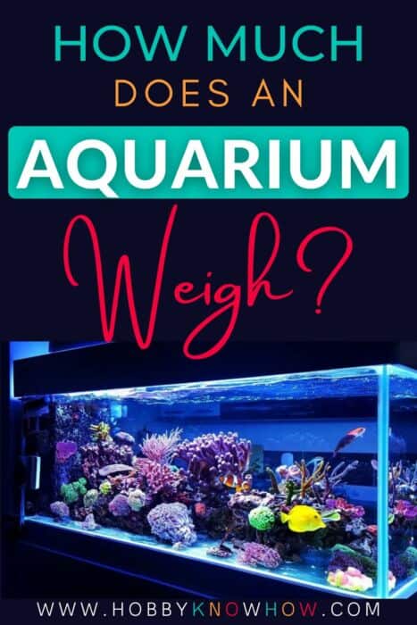 aquarium hobby