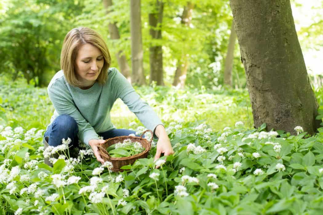 a middle aged woman foraging wild flowers outdoors