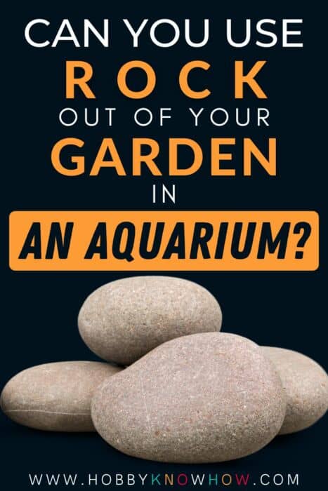 aquarium rocks