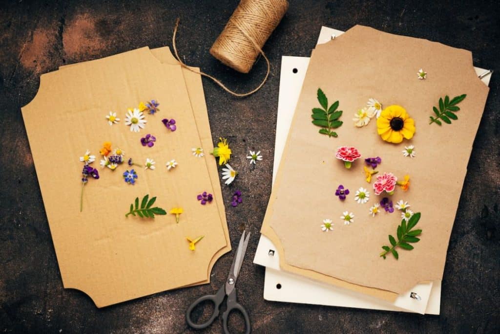 What Paper Is Best Used For Flower Pressing? Hobby Knowhow