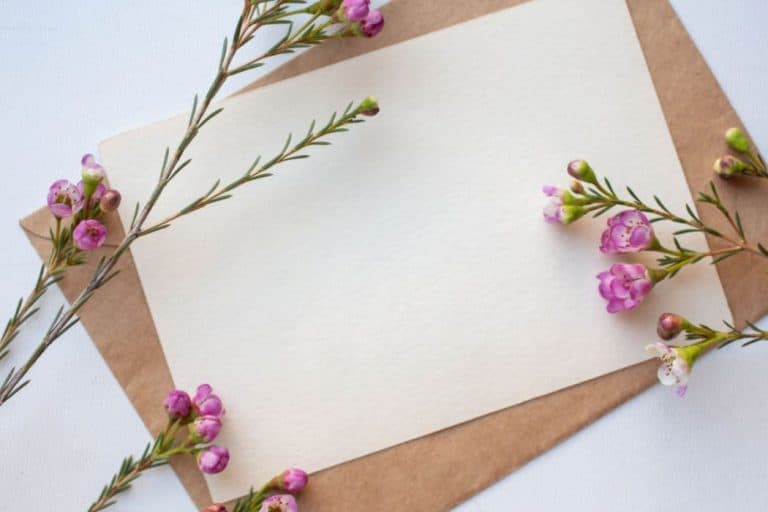 How To Press Flowers With Wax Paper ( Step By Step Guide ) Hobby Knowhow