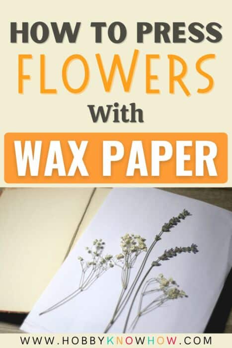 press flowers with wax paper