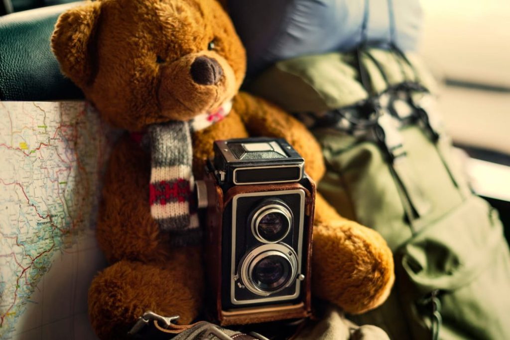 brown bear doll with camera and map traveling 