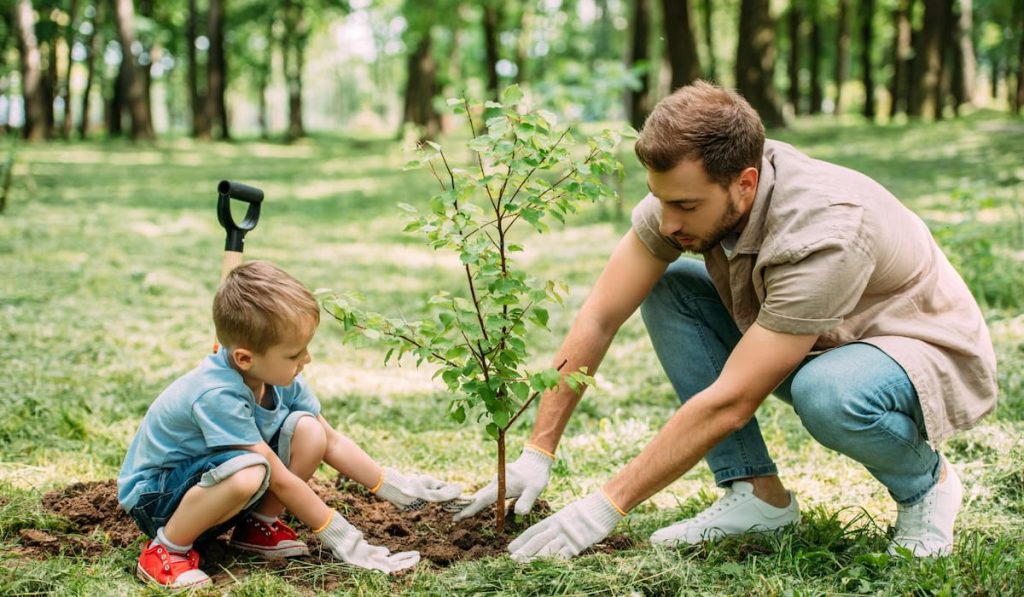 father and son planting a tree at the park 
