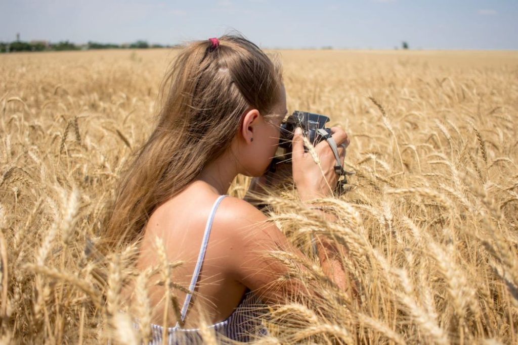 woman photographs a wheat field 