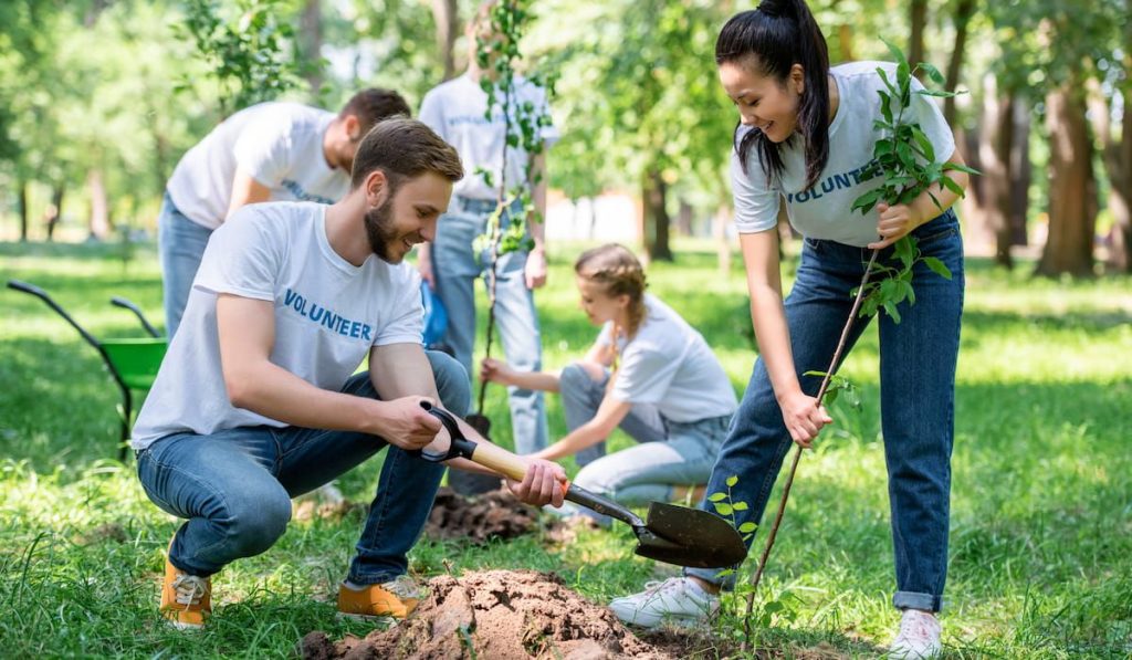 a group of individuals volunteering at a tree planting