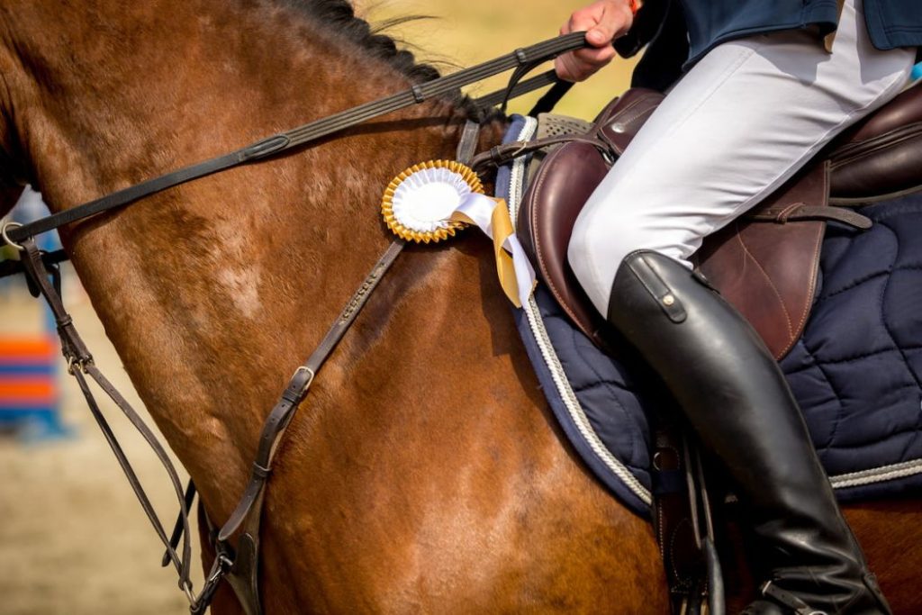 horse with a ribbon in an equestrian event