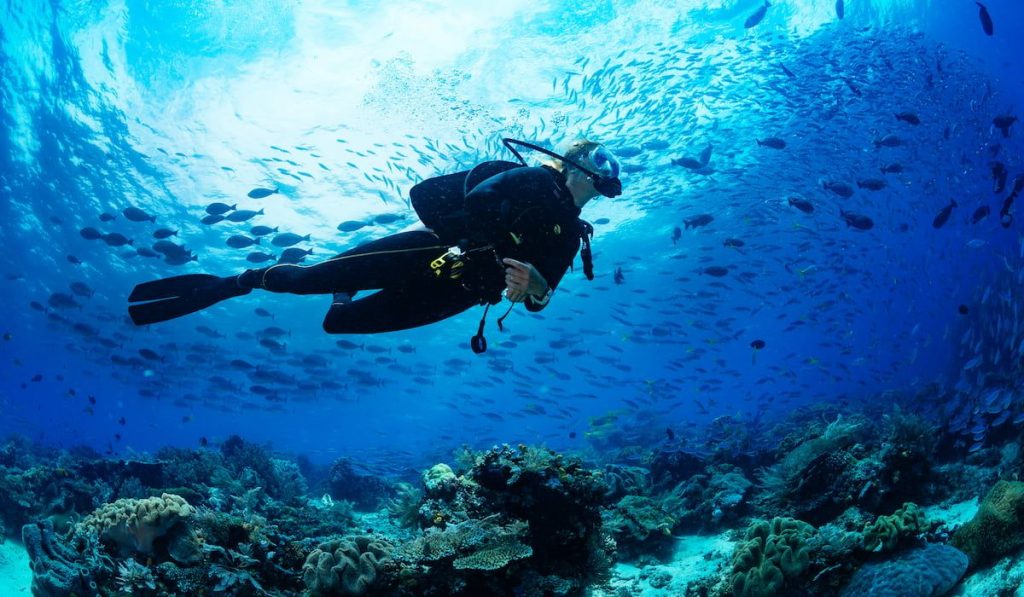 female scuba diver diving on tropical reef with school of fish
