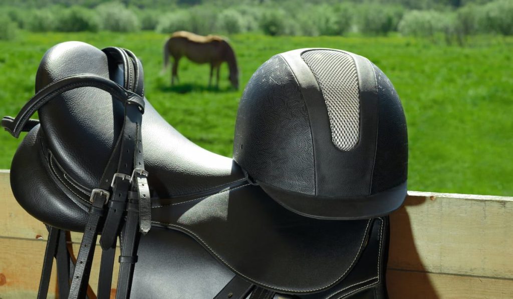the bridle, the horse saddle, and the riding helmet outdoors.