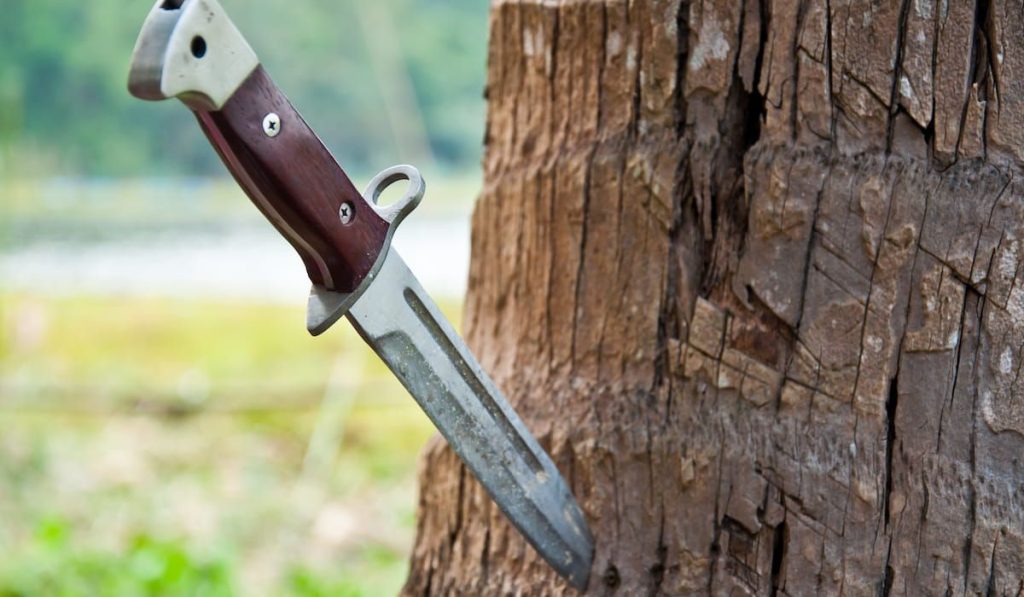 Knife on tree 