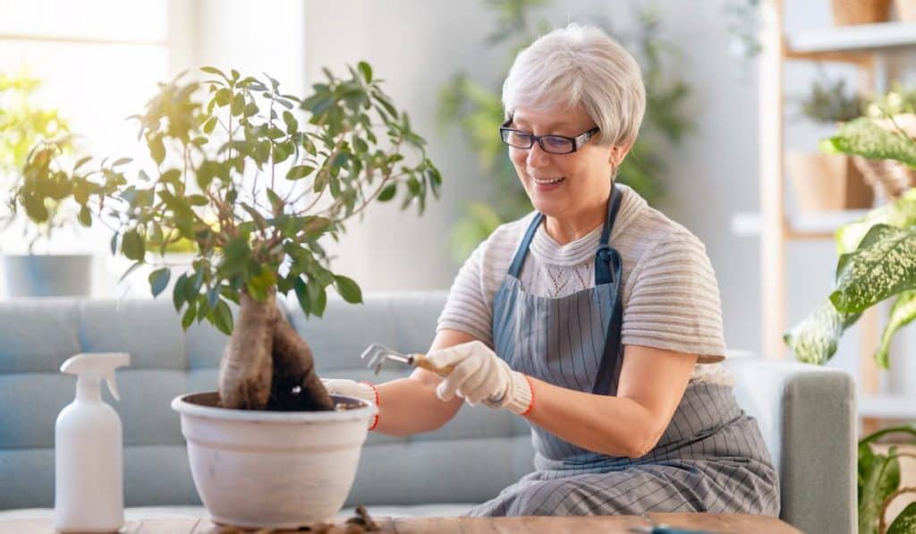 Woman caring for plants 