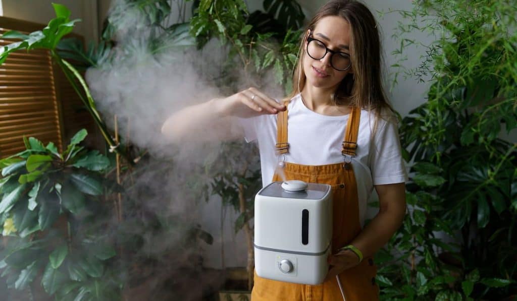 girl use air humidifier in home garden