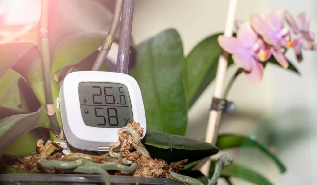 measurement of humidity and temperature of houseplants