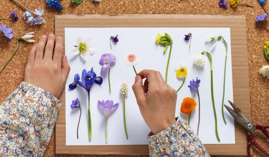 spring flower pressing 