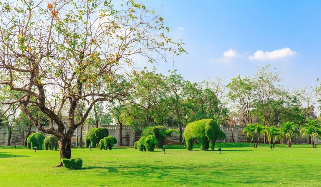 green garden and trees in elephant shape