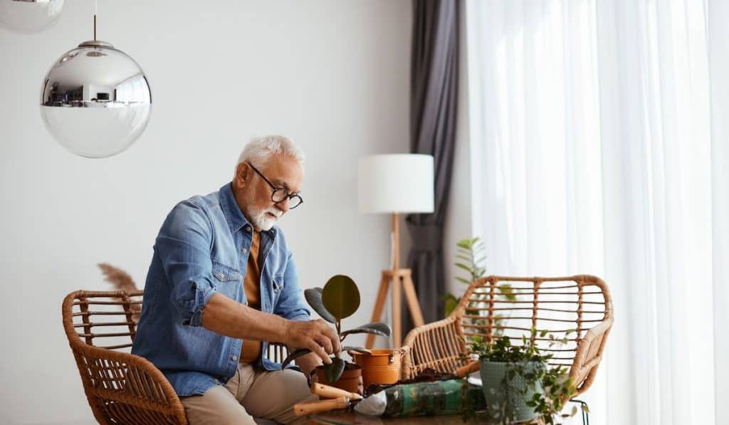 Senior man enjoying in taking care of potted flowers at home, in the living room