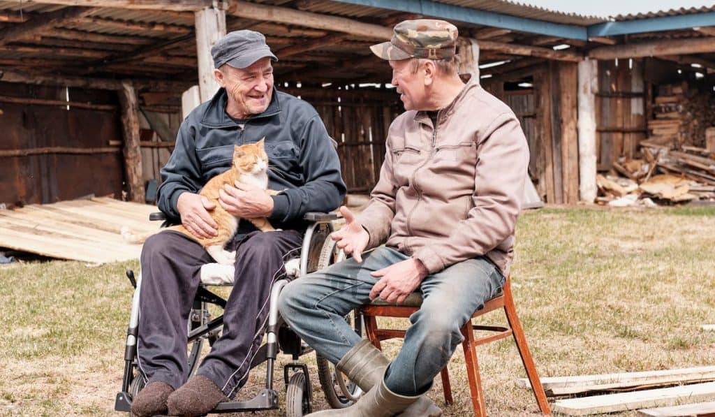 Two happy senior men, one senior in wheelchair holding his pet cat talking in the backyard
