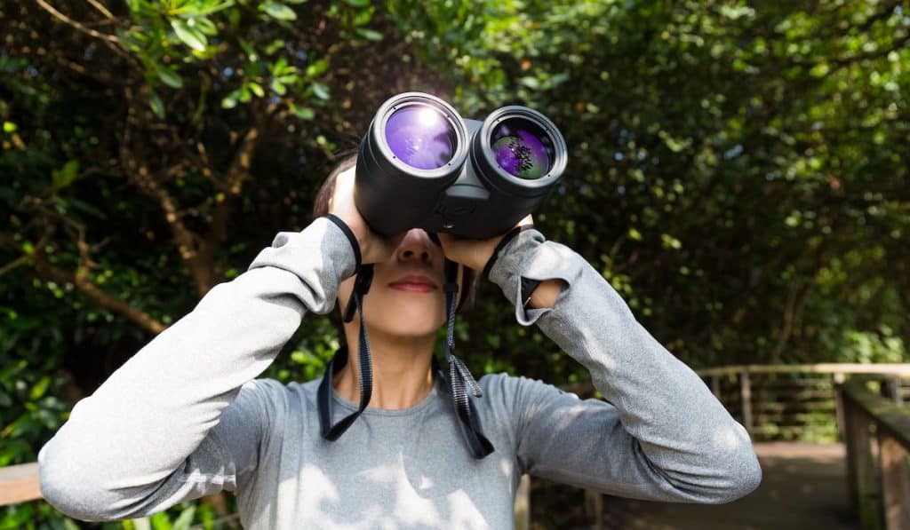 Woman looking through binoculars at the forest, woman birdwatching 