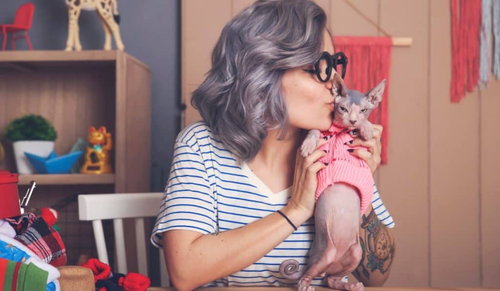 Young woman kissing her Exotic Sphynx cat wearing pullover standing on the table