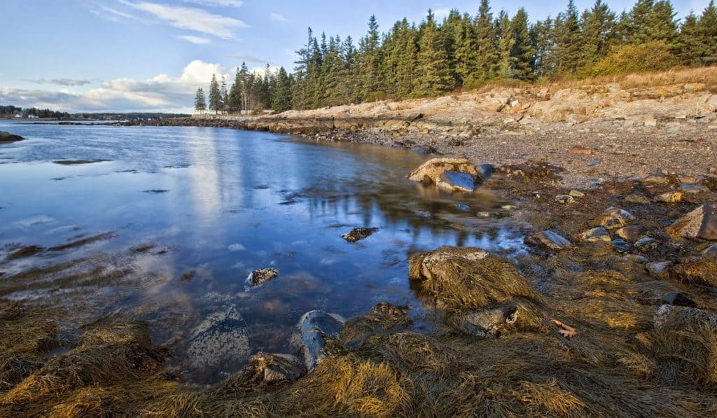 Beautiful shoreline in the New England state of Maine, USA