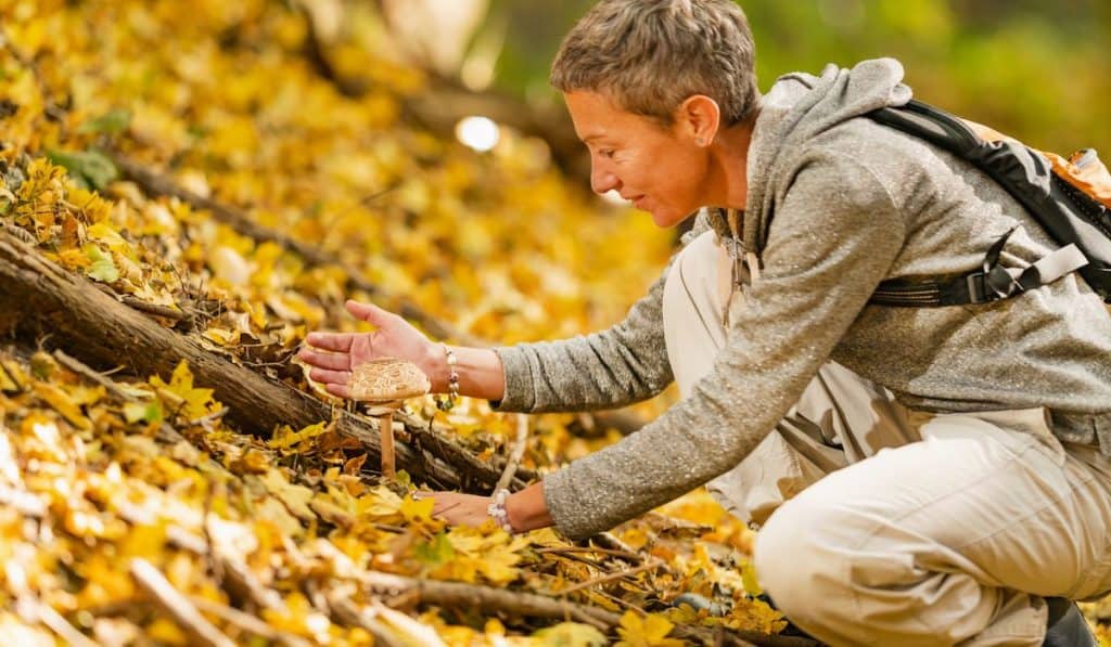 woman foraging wild mushrooms in the forest
