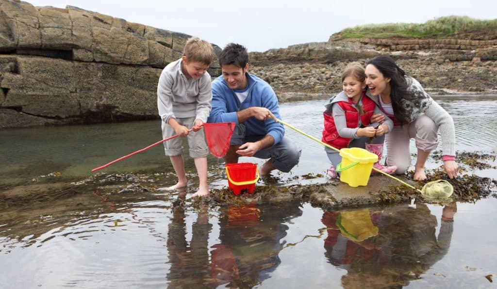 Happy family at the beach collecting shells 