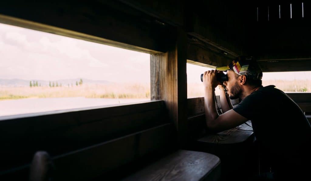 Man birdwatching with binoculars from a viewing tower
