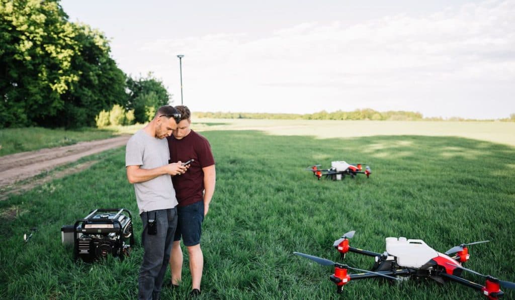 Modern drone flying over wheat grain field on sunny day