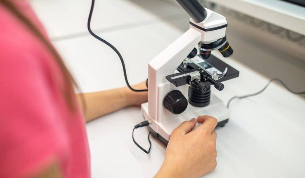 School-age child touching with his hands microscope standing on white table