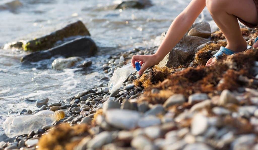 collecting plastic bottle waste on coast