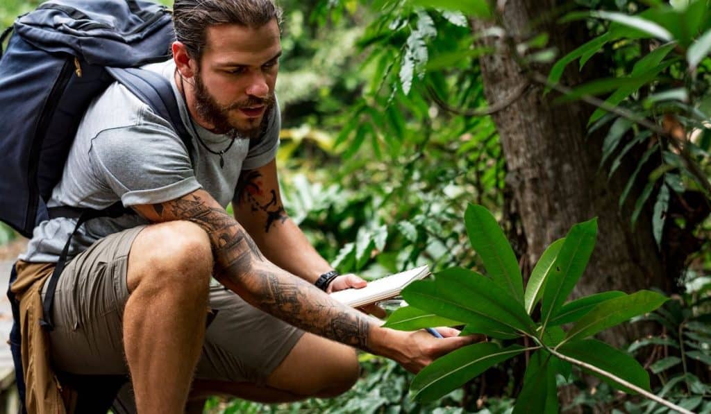 Biologist in a forest

