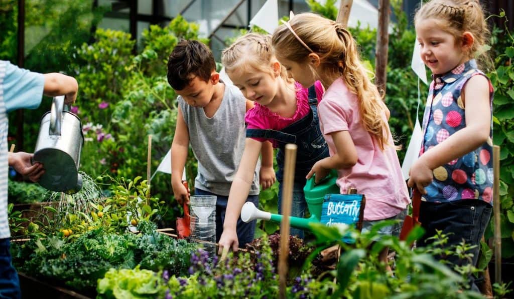Group of kindergarten kids learning gardening outdoors
