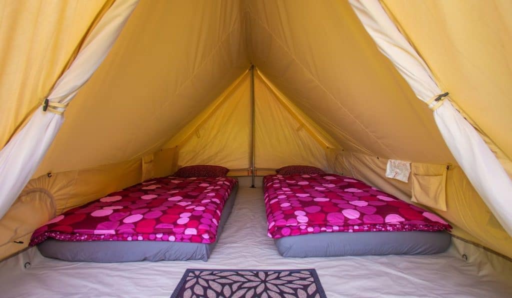 Tent interior with mattresses and purple duvet covers.
