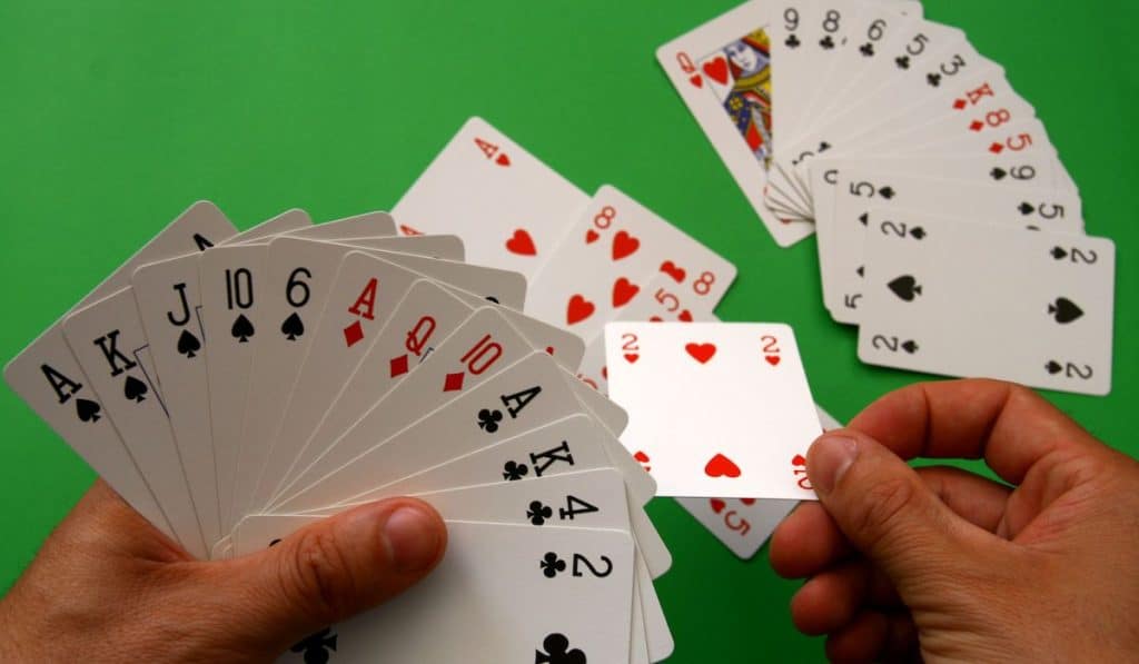 playing bridge card game on green table