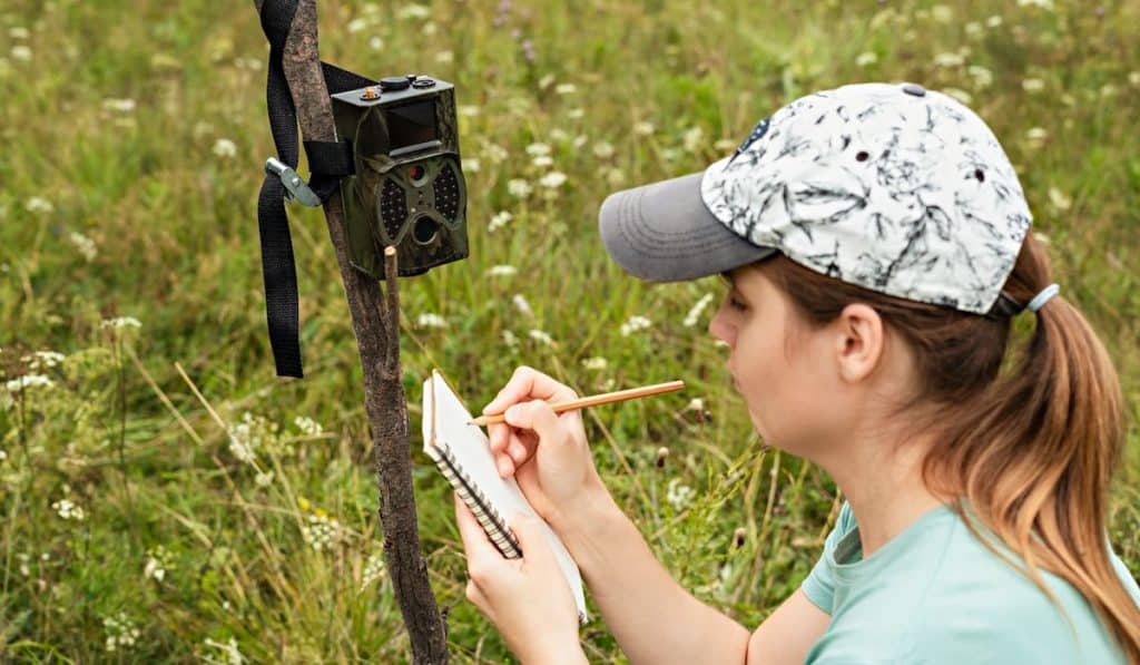 woman scientist zoologist writing down data of trap camera observing wild animals 