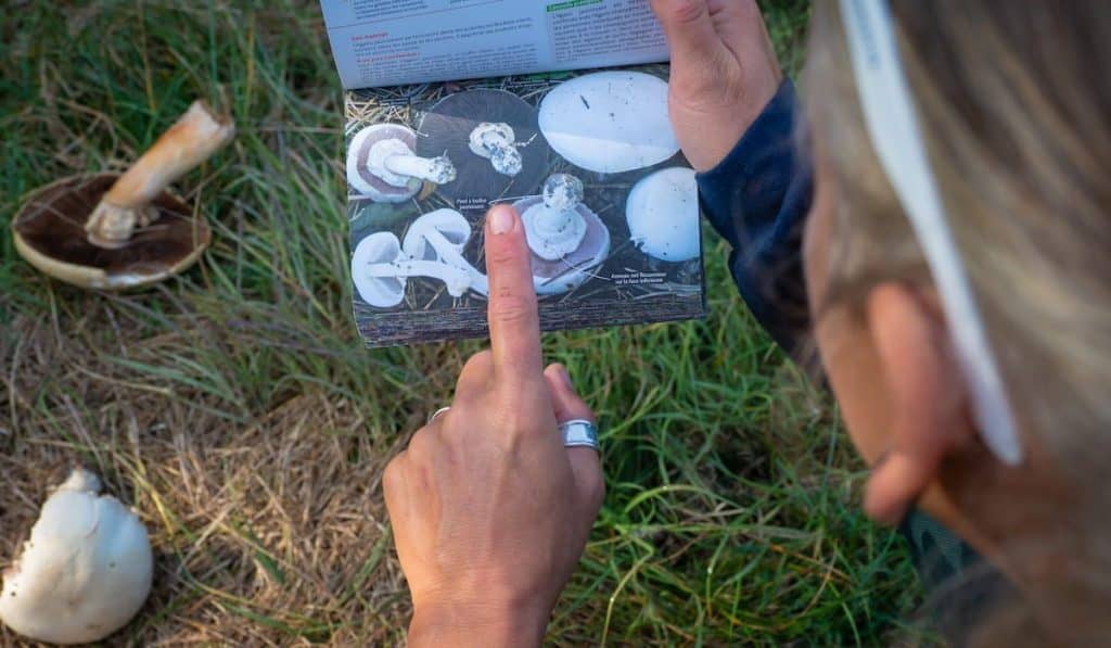 Female foraging mushroom lesson