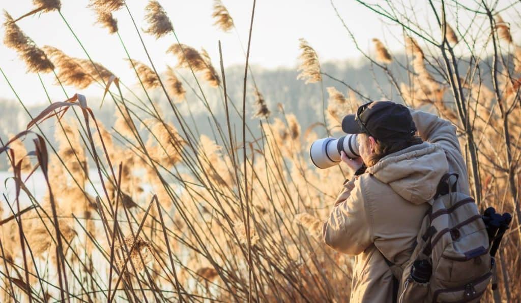 Photographer with camera hiding behind reeds