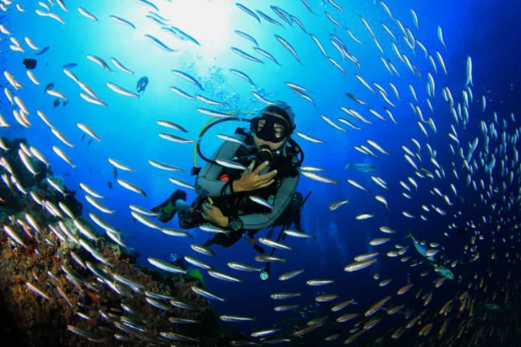 a man enjoying the view with fishes underwater on his scuba diving experience