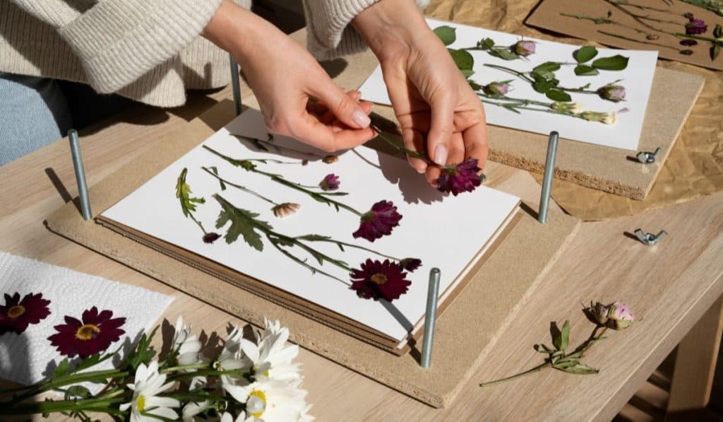  making decoration with pressed flowers and leaves