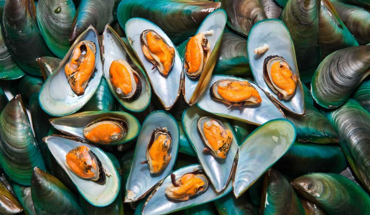 Can You Eat Mussels From A Lake? (Toxic or Delicious)