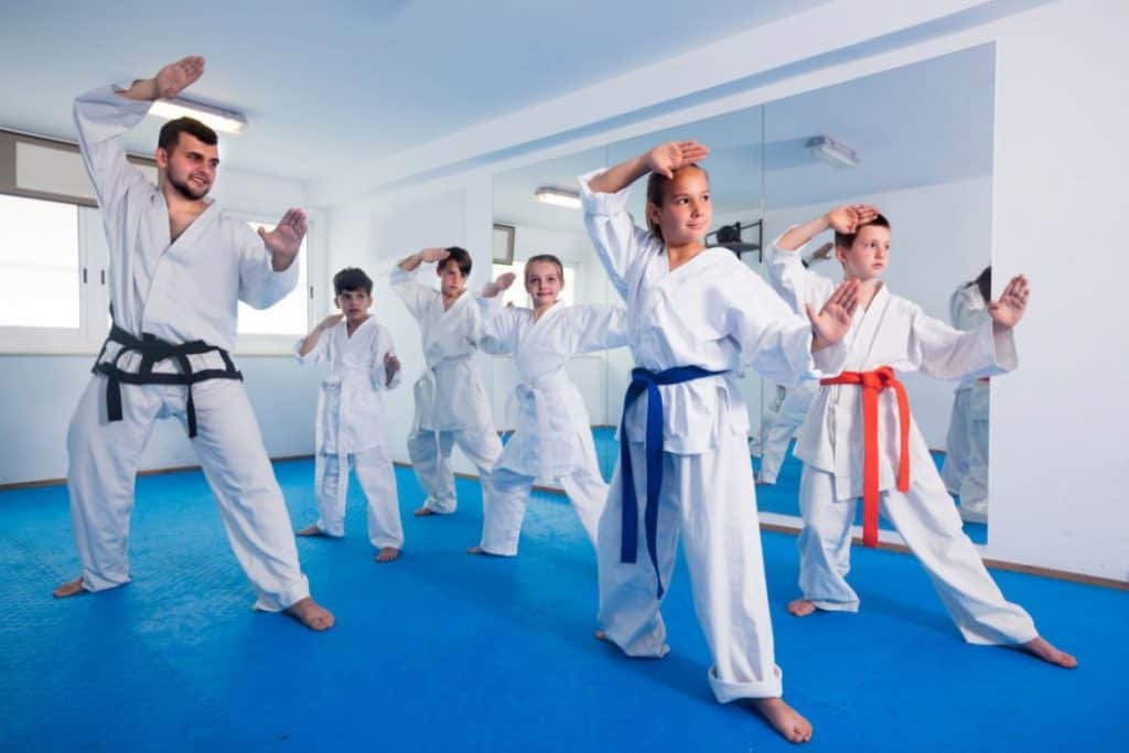 Kids learning from karate class