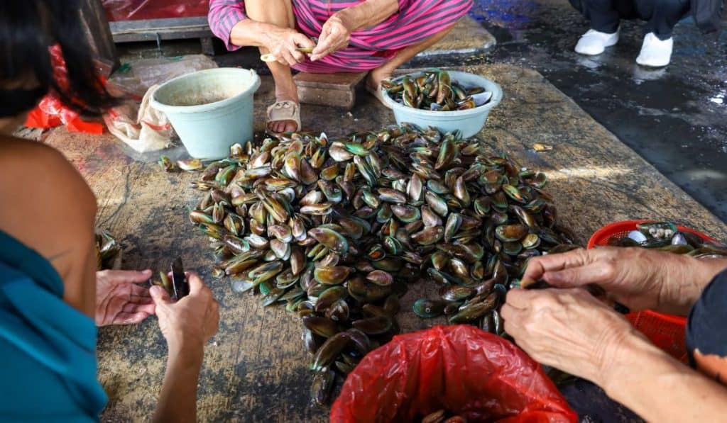 woman cleaning green mussel at seafood market