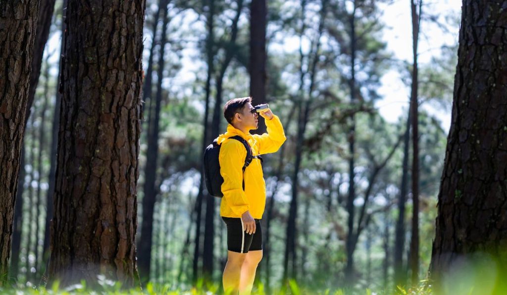 Bird watcher is looking through binoculars while exploring in the pine forest 